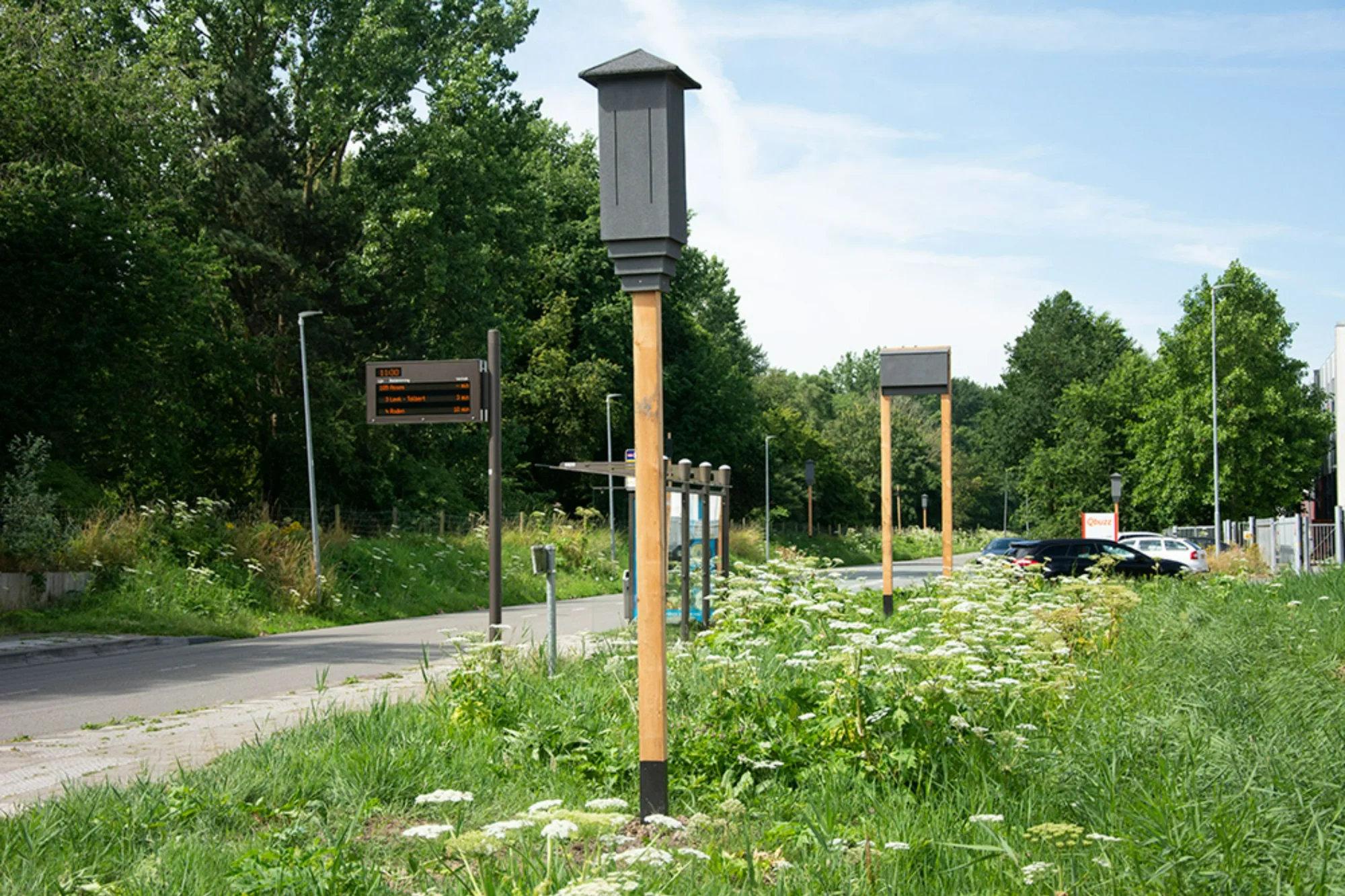 De aanleg van vleermuisvoorzieningen voor Qbuzz in Groningen 
